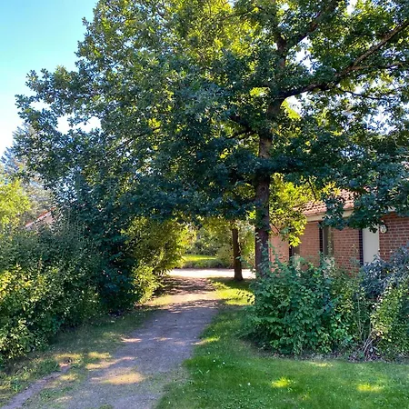 Wiesengefluester W3 - Mit Fasssauna Und Garten, 300 M Zur Mueritz