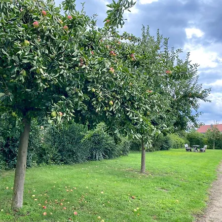 Wiesengefluester W3 - Mit Fasssauna Und Garten, 300 M Zur Mueritz * Robel