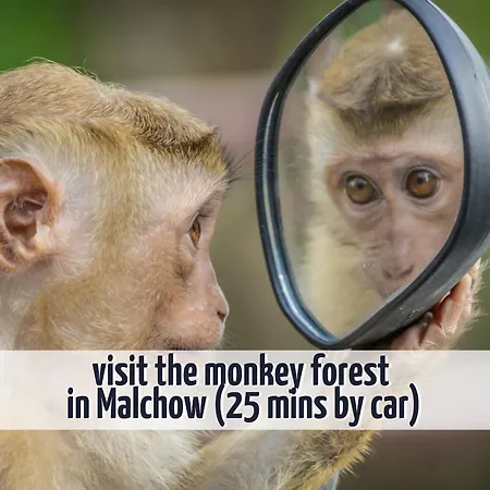 Сasa de vacaciones Wiesengeflüster W3 - Mit Fasssauna Und Garten, 300 M Zur Müritz *