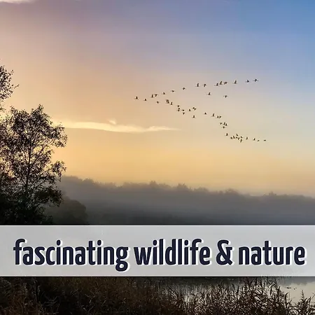 Сasa de vacaciones Wiesengeflüster W3 - Mit Fasssauna Und Garten, 300 M Zur Müritz *