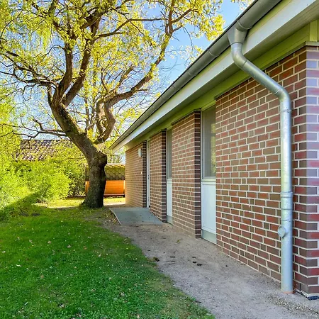 Ferienhaus Wiesengefluester W3 - Mit Fasssauna Und Garten, 300 M Zur Mueritz Röbel