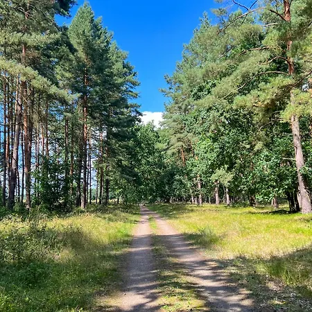 Wiesengefluester W3 - Mit Fasssauna Und Garten, 300 M Zur Mueritz Casa vacanze