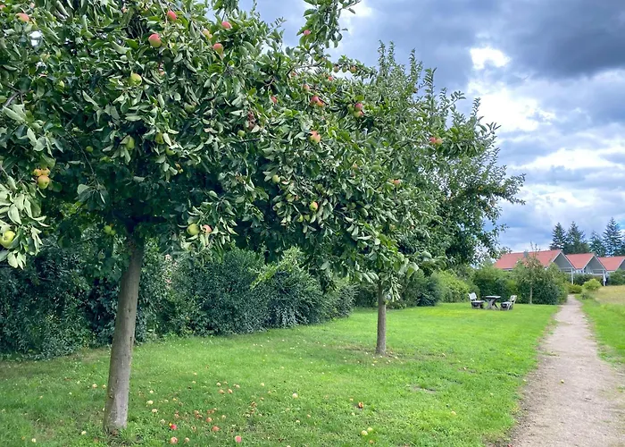 Wiesengeflüster W3 - Mit Fasssauna Und Garten, 300 M Zur Müritz * Röbel